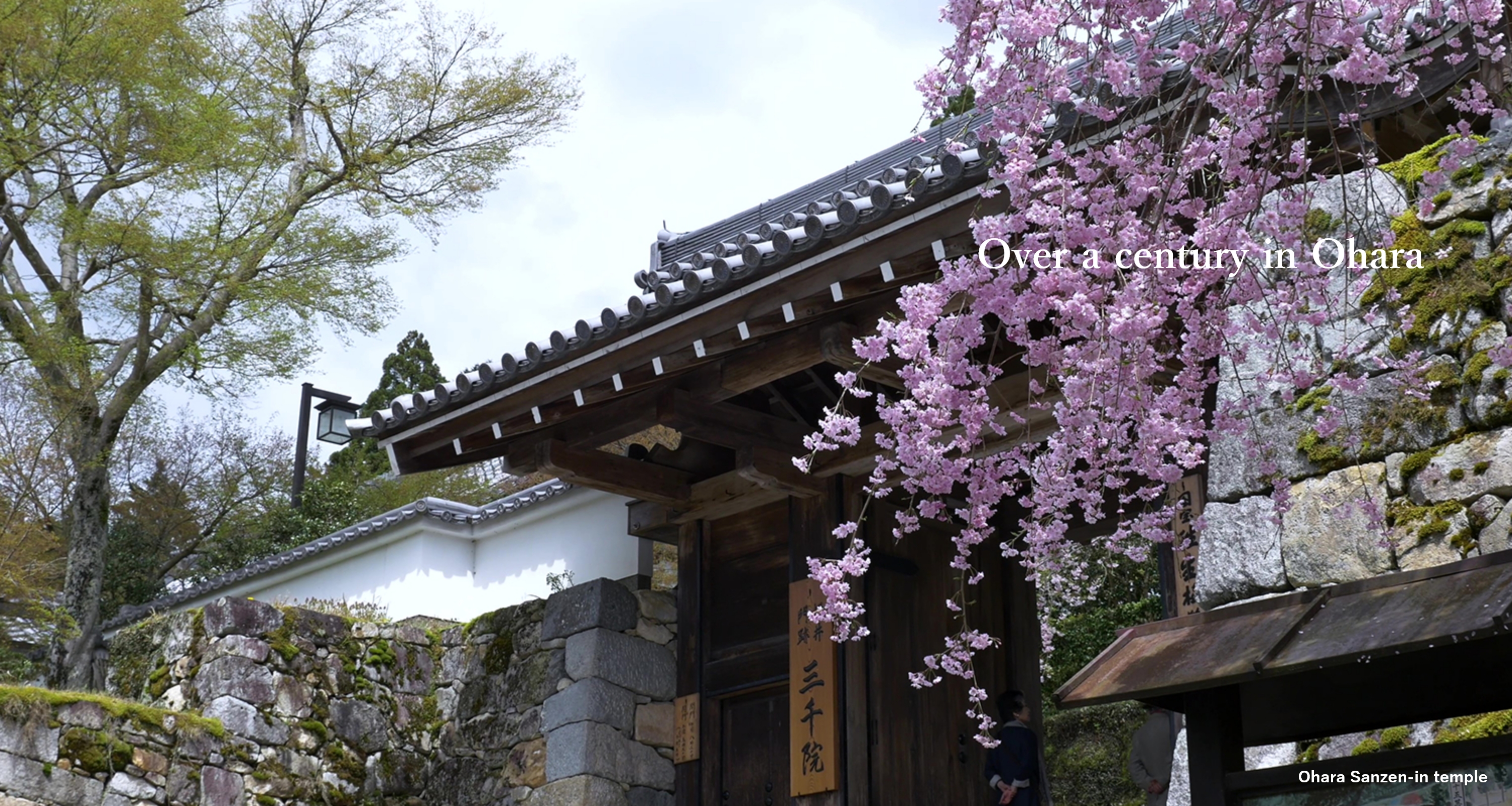 Over a century in Ohara Ohara Sanzen-in temple